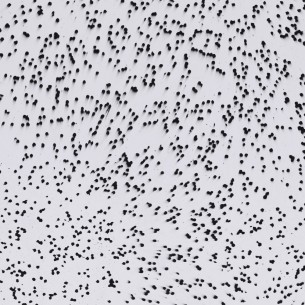 Dalles murales/Crédence en... 2