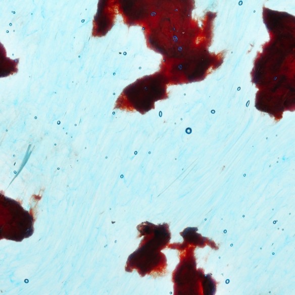 Échantillons Polygood® – Matériau plastique recyclé