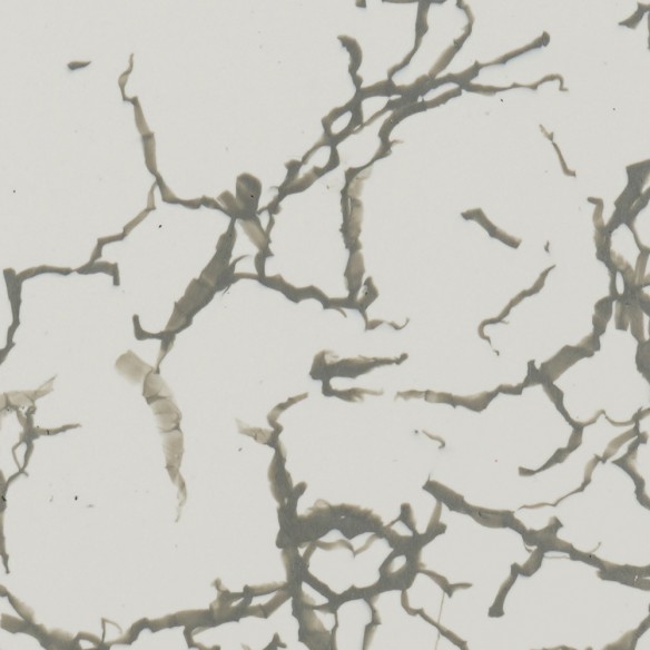 Échantillons Polygood® – Matériau plastique recyclé