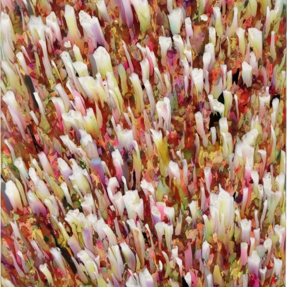 Échantillons Polygood® – Matériau plastique recyclé