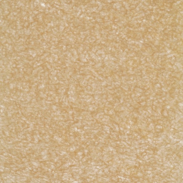 Échantillons Polygood® – Matériau plastique recyclé