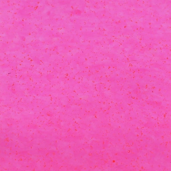 Échantillons Polygood® – Matériau plastique recyclé