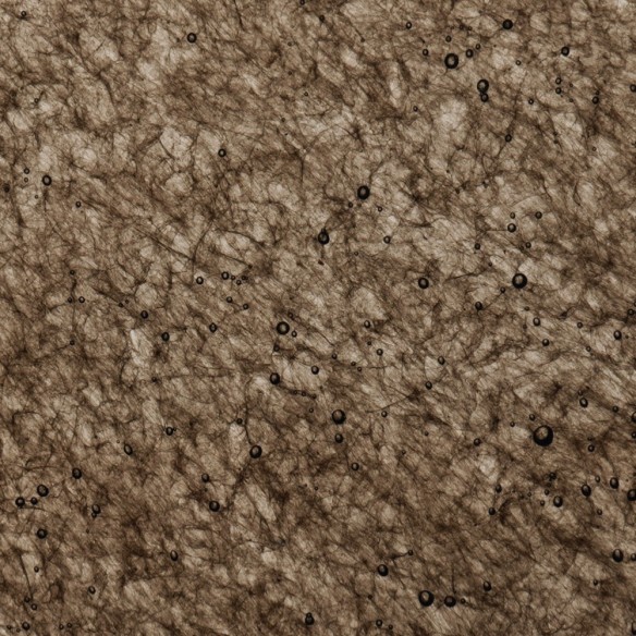 Échantillons Polygood® – Matériau plastique recyclé