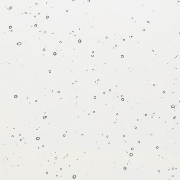 Échantillons Polygood® – Matériau plastique recyclé