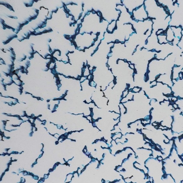 Dalles murales en plastique recyclé | Design durable et élégant