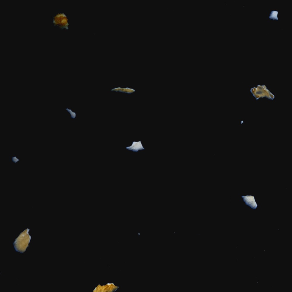 Image alt
